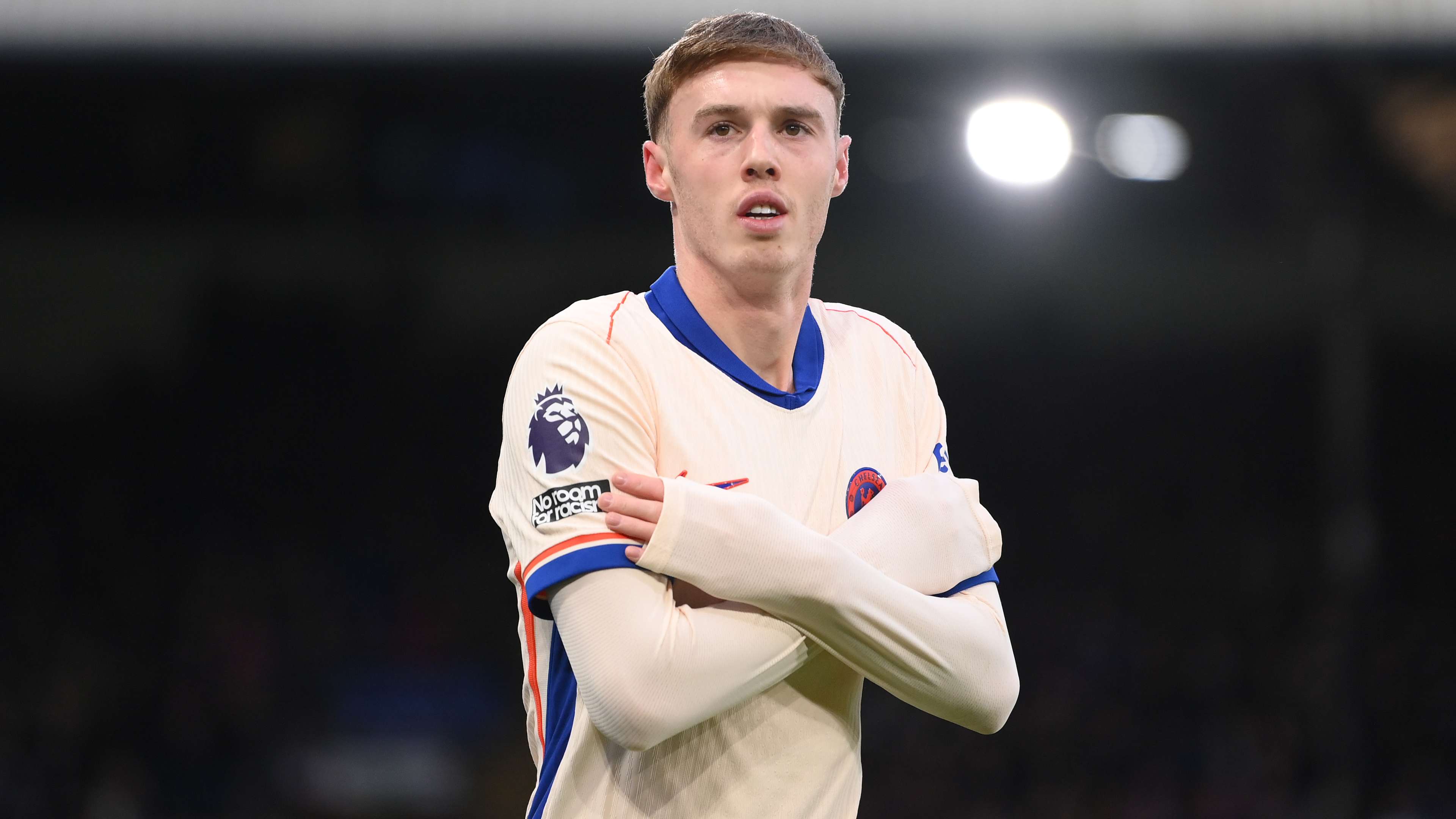 在多平台的 在多平台的